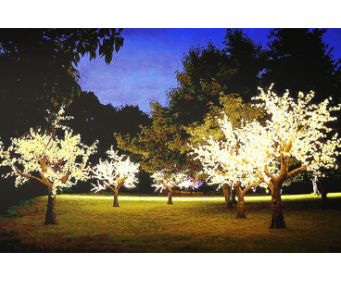 LED Cherry Tree Lights